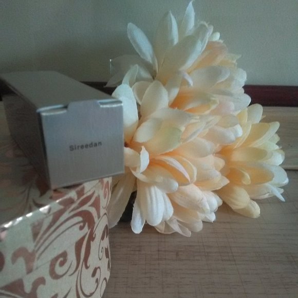 BNIB KEVYN AUCOIN The Expert Lip Color - Picture 2 of 5